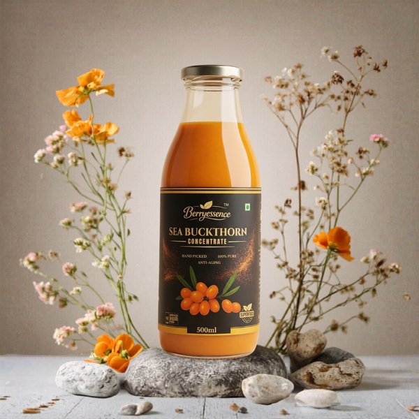 Sea Buckthorn Concentrate Pulp Juice 500ml | Promotes Healthy Gut | Removes Bloating Issue