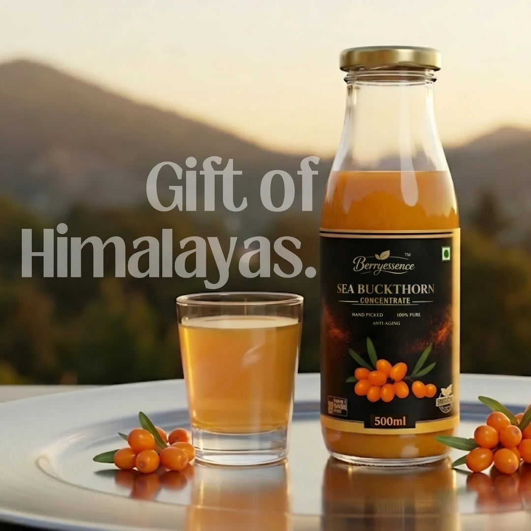 Immunity Duo Pack | Pack of 2 Sea Buckthorn Concentrate Juice ( 500ML x 2 )